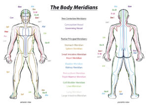 Meridians in Traditional Chinese Medicine