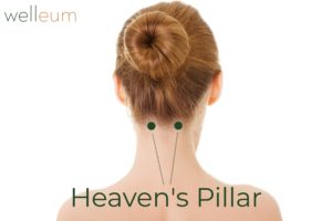 Heaven's Pillar Acupressure Points