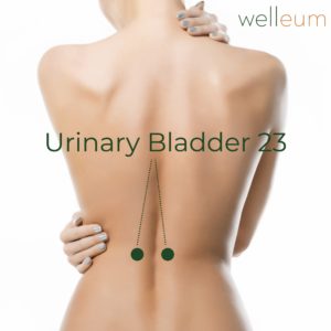 Urinary Bladder 23 Acupressure Point TCM