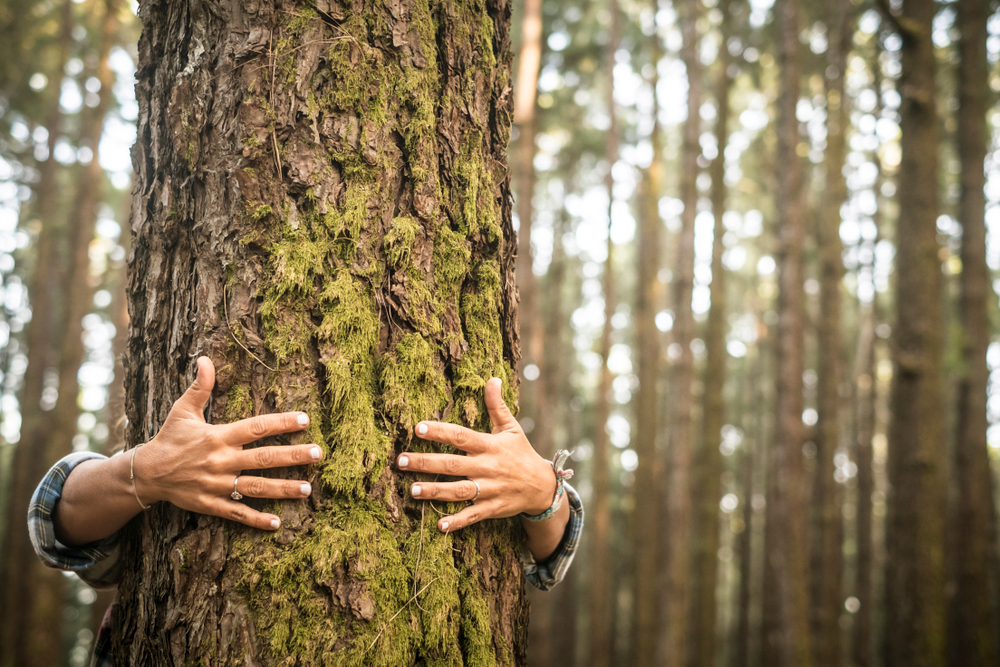 Using Eastern Medicine To Embrace Change - Tree Hug